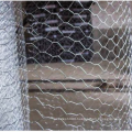 Hexagonal wire netting Protection Mesh